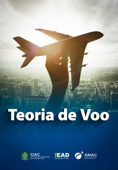 teoria de voo